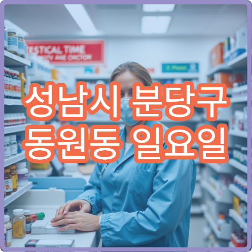 성남시 분당구 동원동 일요일 당직약국 조용한 주거지역