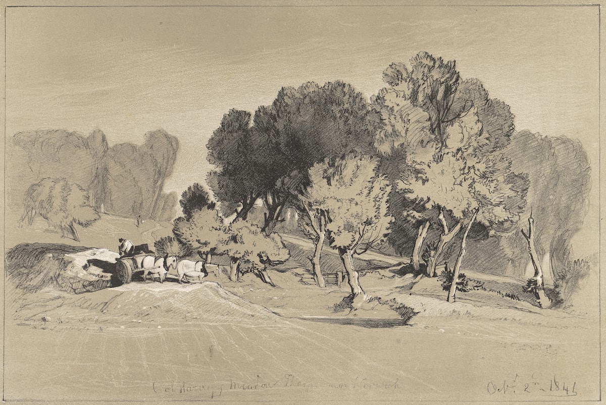 Col Harveys Meadow Thorpe and Norwich Oct 2nd 1841
