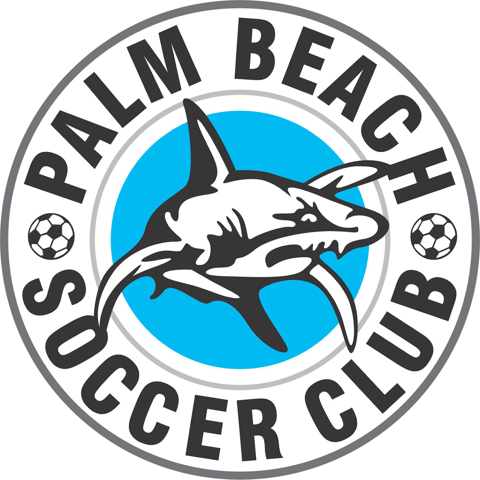 Palm Beach logo