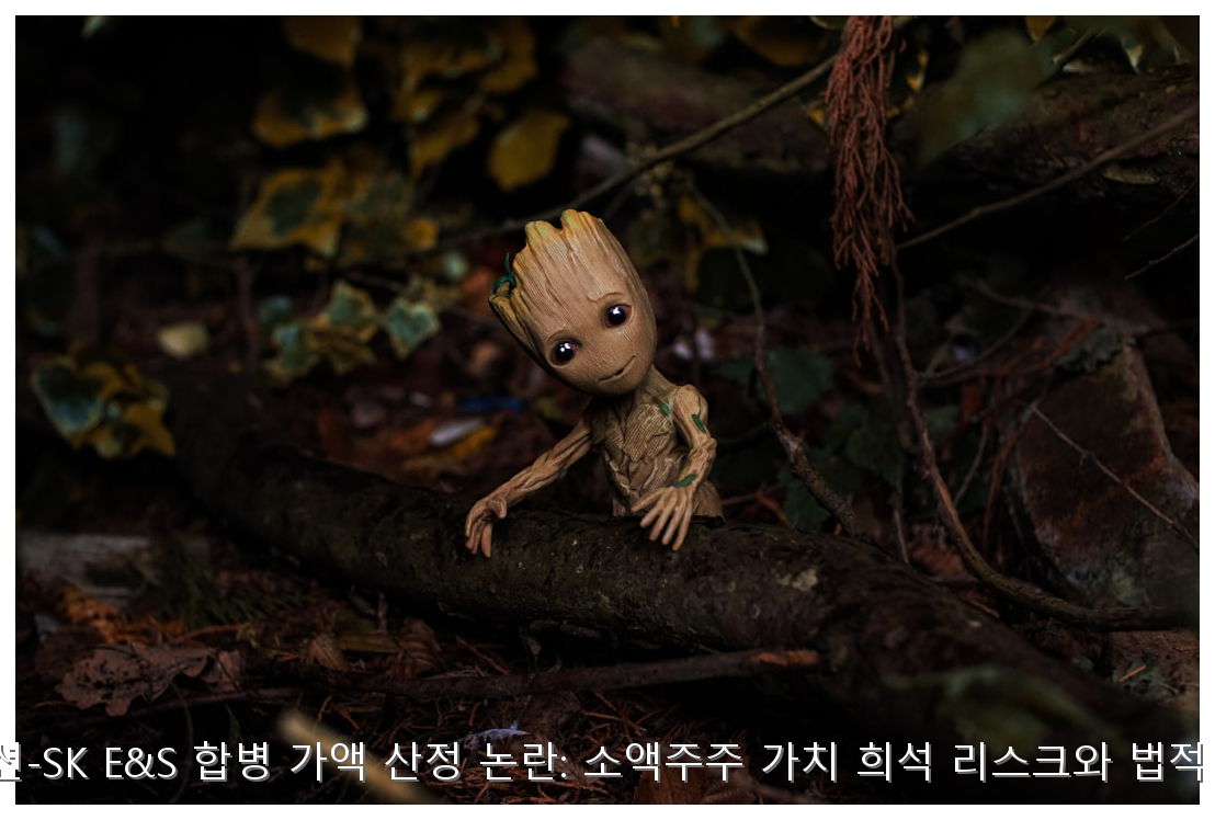 SK이노베이션-SK E&S 합병 가액 산정 논란: 소액주주 가치 희석 리스크와 법적 쟁점 총정리 핵심 안내 및 분석 인포그래픽 (7)