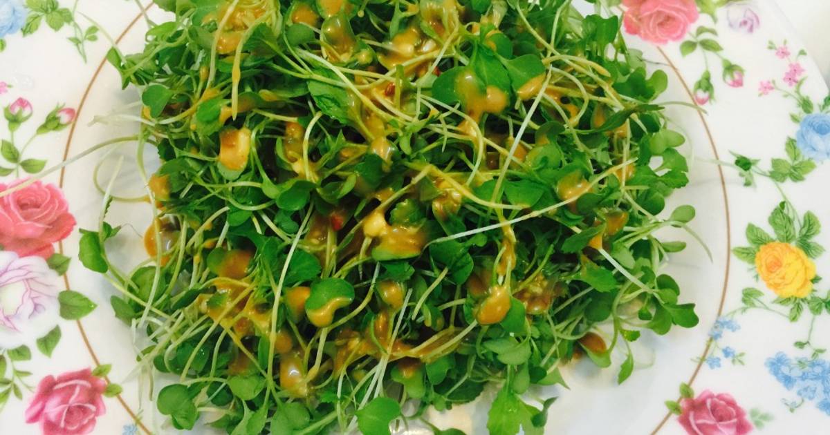 Salat rau mầm nhà trồng