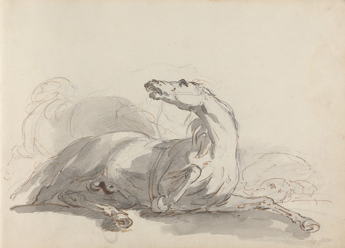 Fourty three Studies of Horses and Riders Pl17 1787