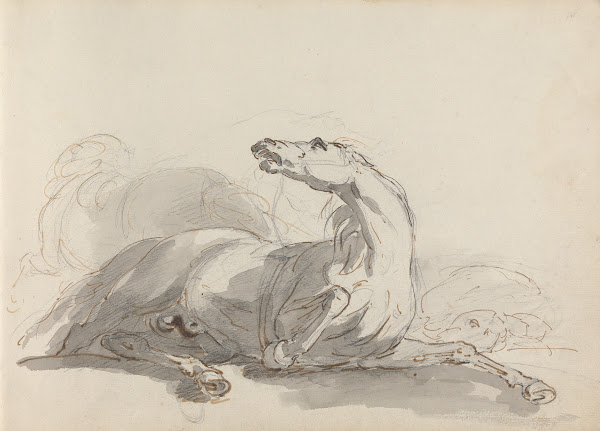 Fourty three Studies of Horses and Riders Pl17 1787