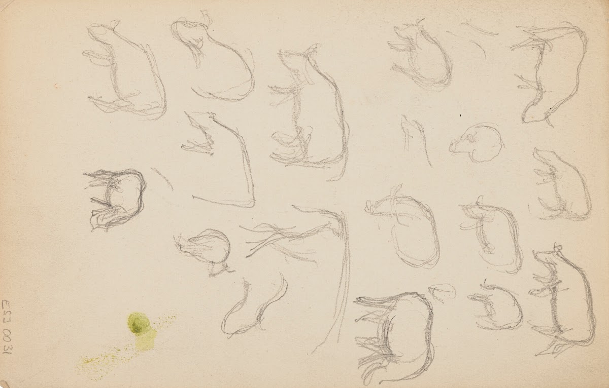 Études danimaux de paysages et de modèles