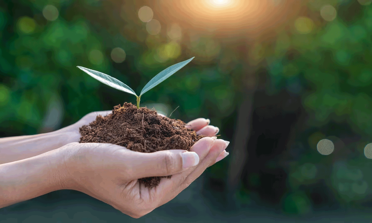 Sistemas Sostenibles y Rentabilidad: La Gestión Ejecutiva de la Transición Energética Global