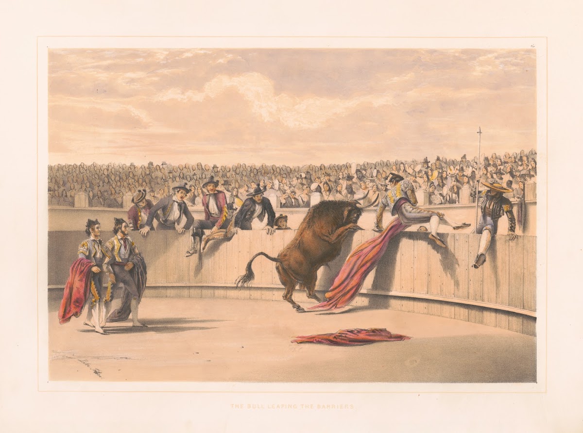 The bull leaping the barriers 1860 1870
