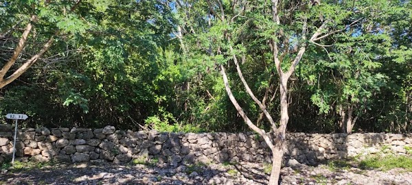 Puerto Mayab – photo 4