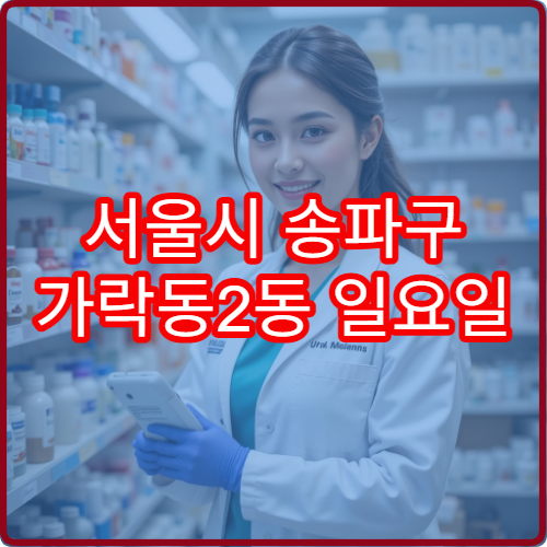 서울시 송파구 가락동2동 일요일 당직약국 일요일 이용 가능한 약국