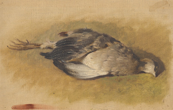 Sketch of a Dead Partridge 1840