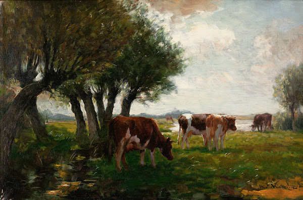 Cattle Grazing 1900