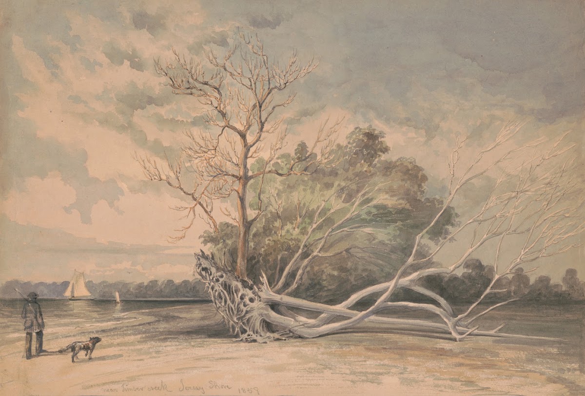 Near Timber Creek Jersey shore 1859