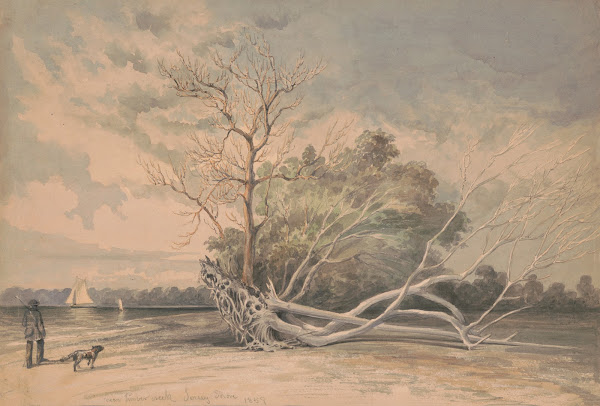 Near Timber Creek Jersey shore 1859