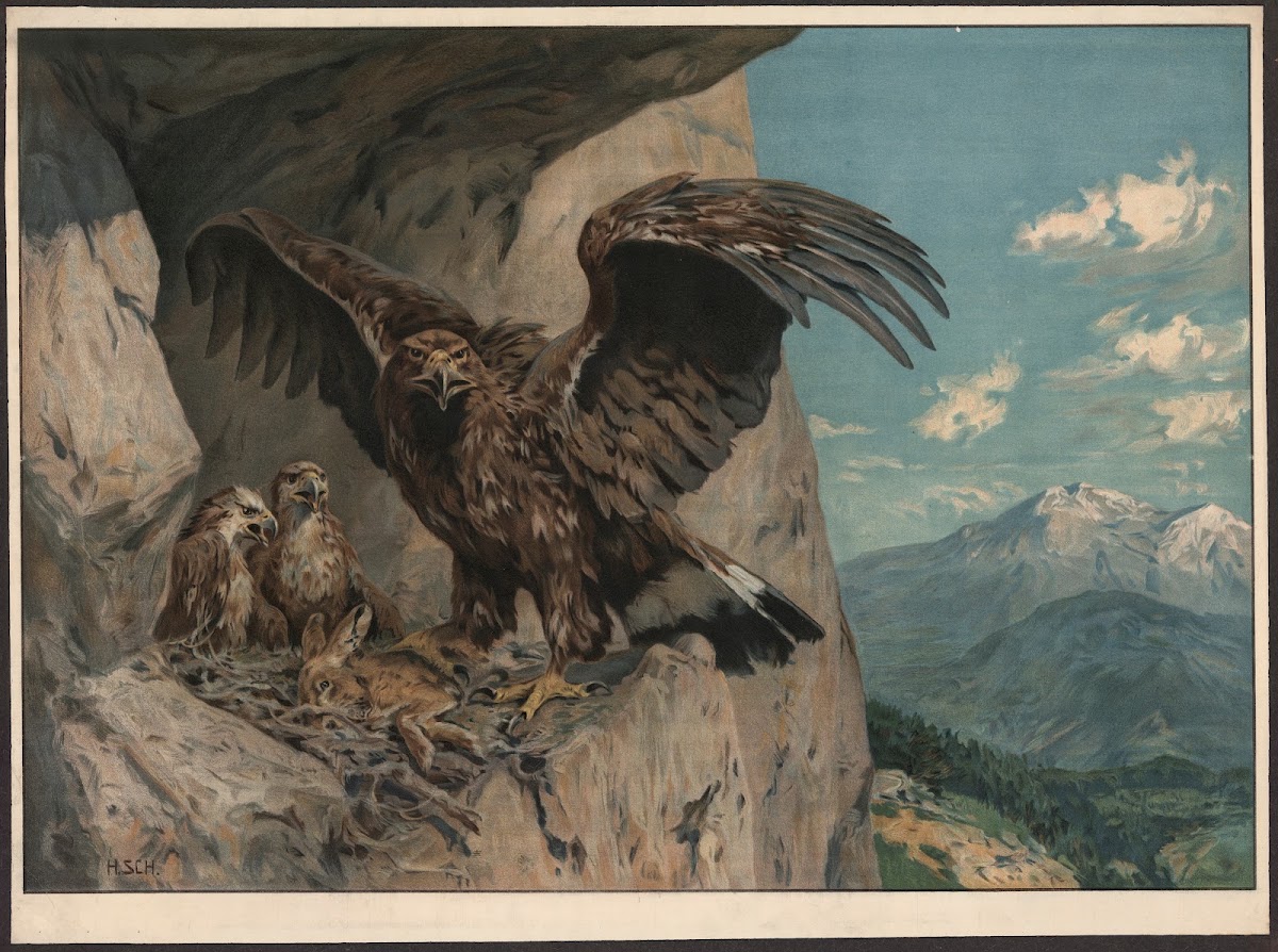 Eagle 1910