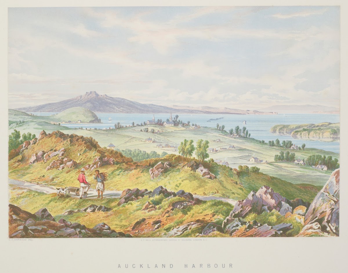 New Zealand Graphic and Descriptive Auckland Harbour 1877
