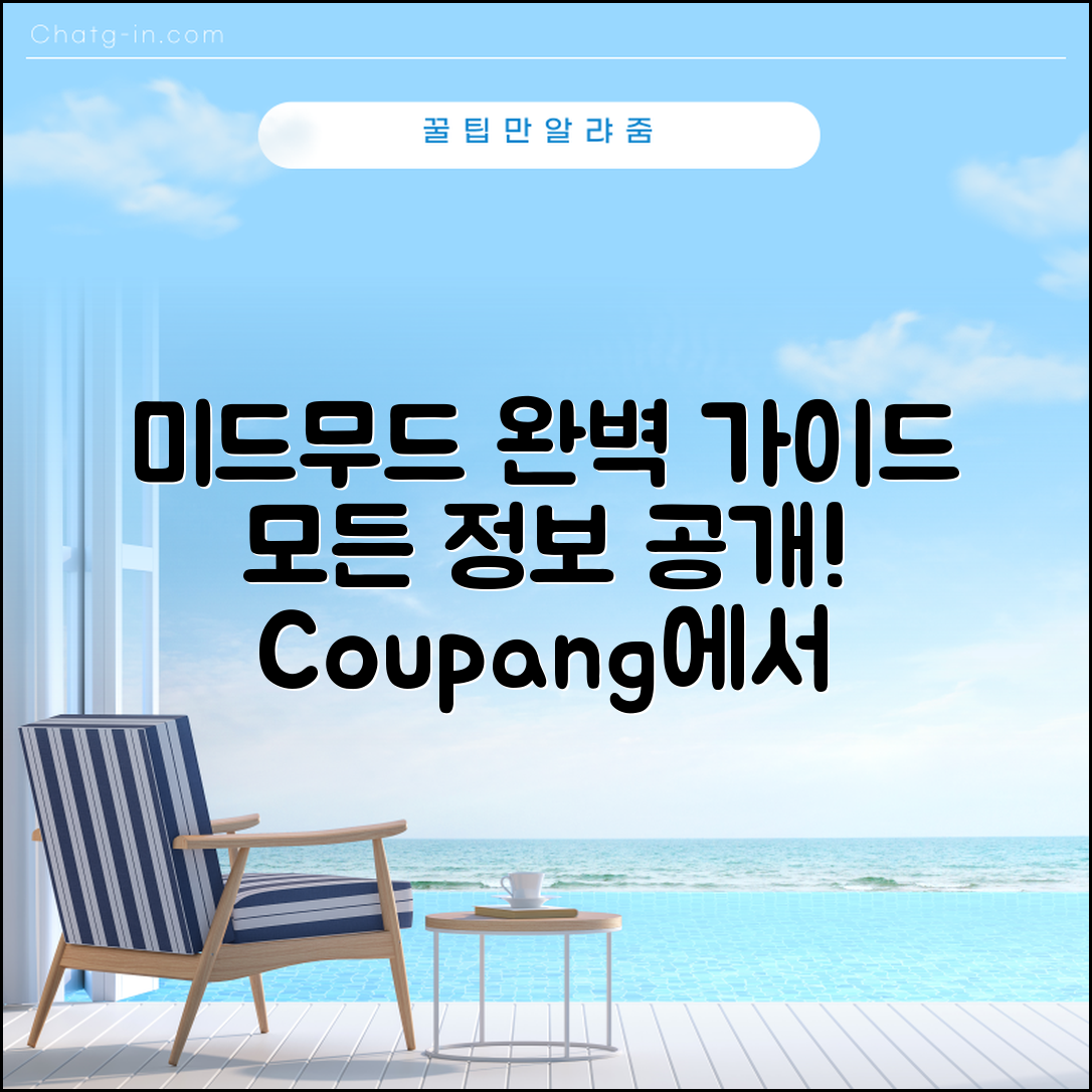 미드무드 정보 완벽 가이드: 모든 것을 다 알려드립니다