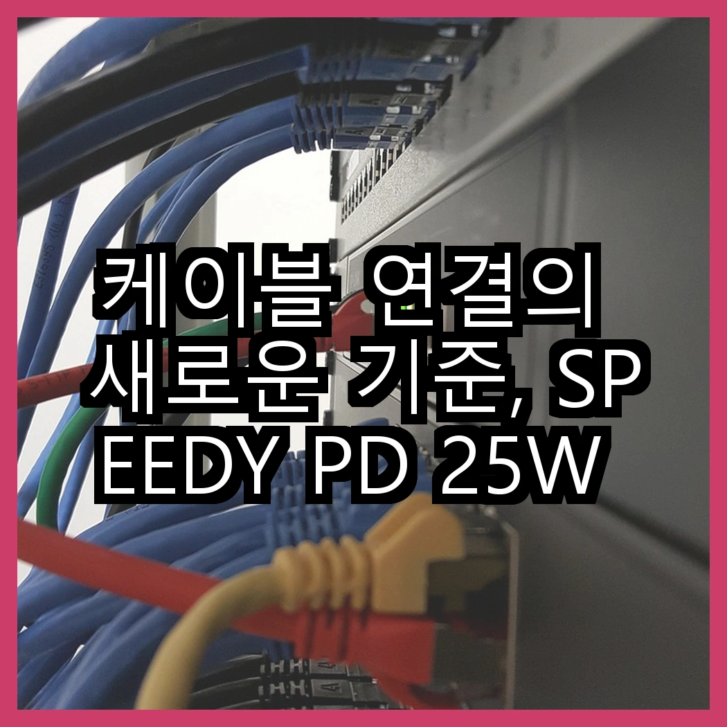 케이블 연결의 새로운 기준, SPEEDY PD 25W 충전기와 홈플래닛 고속충전케이블, 어떤 선택이 더 좋을까? 썸네일