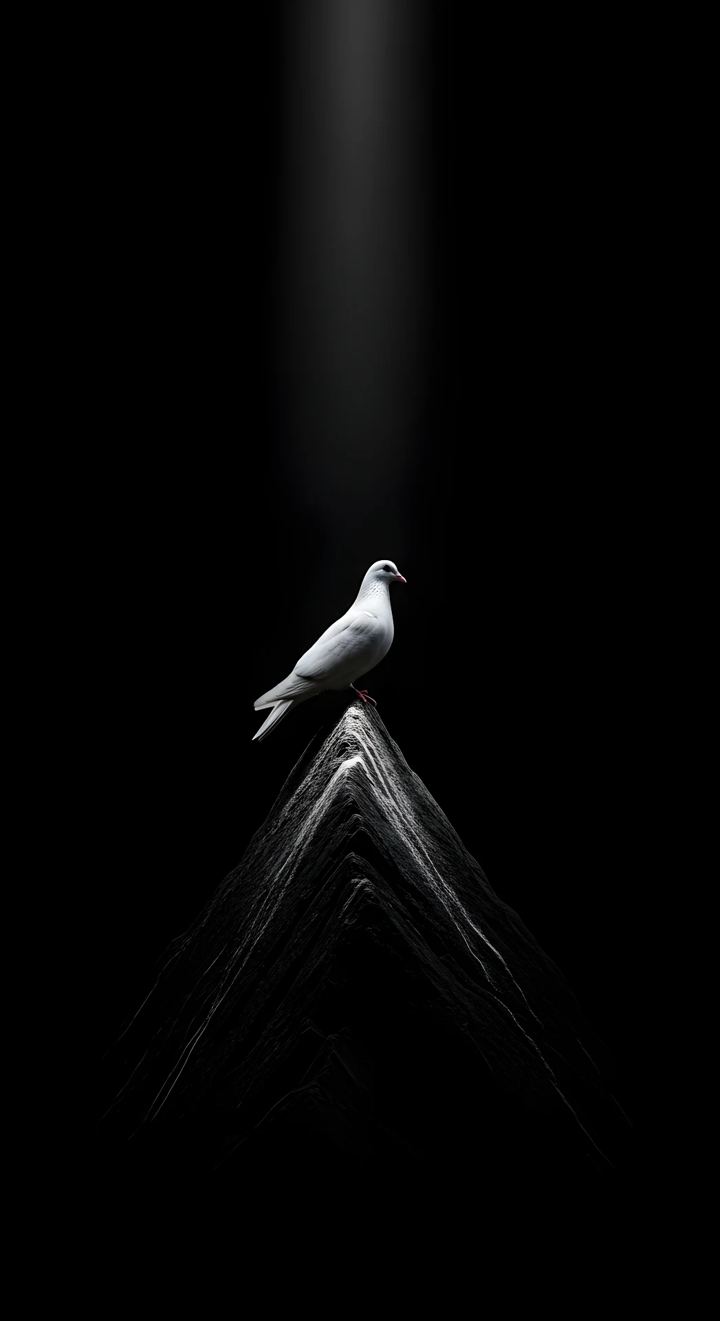 Solitary White Dove Perched on a Dark Peak with Spotlight - Free 4K mobile Wallpaper