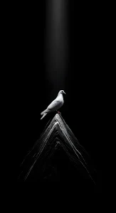 Solitary White Dove Perched on a Dark Peak with Spotlight
