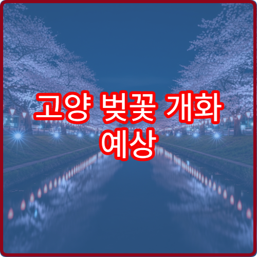 고양 벚꽃 개화 예상 고양 벚꽃 언제 필까