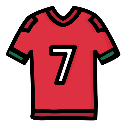 Sports Jersey