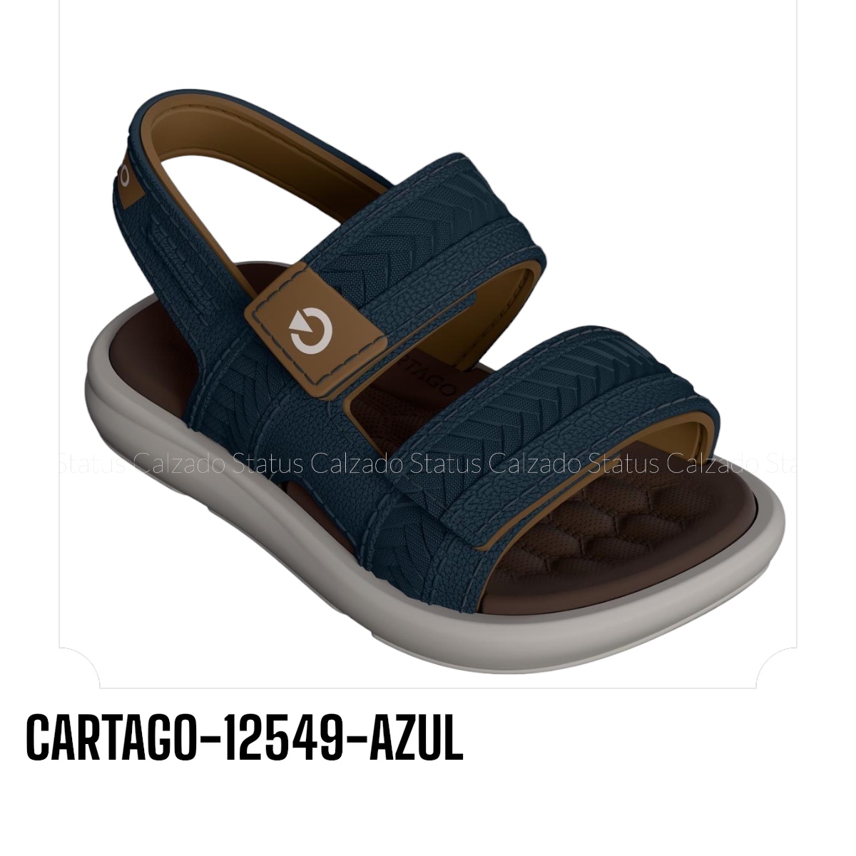 CARTAGO-12549-AZUL