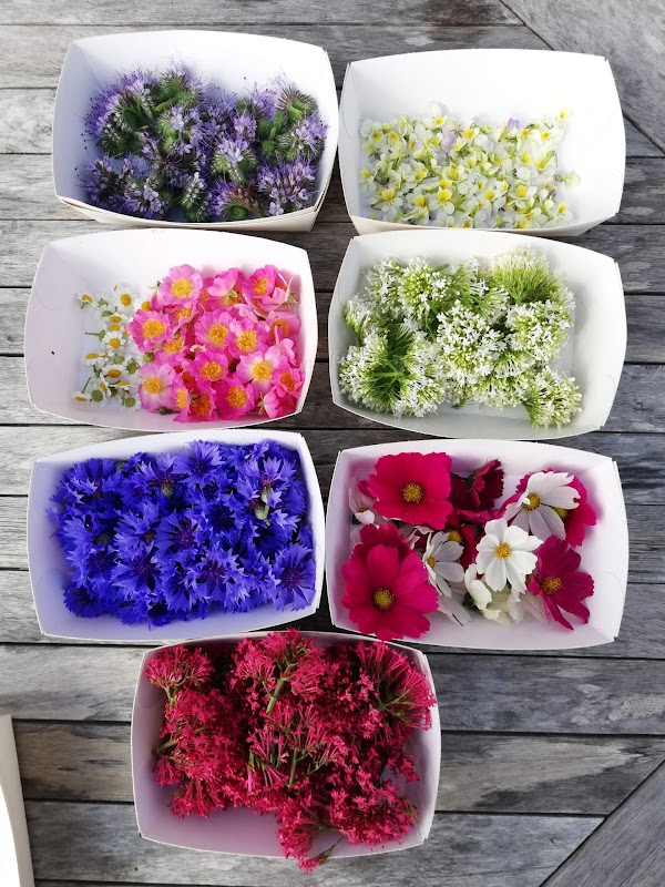 Événements