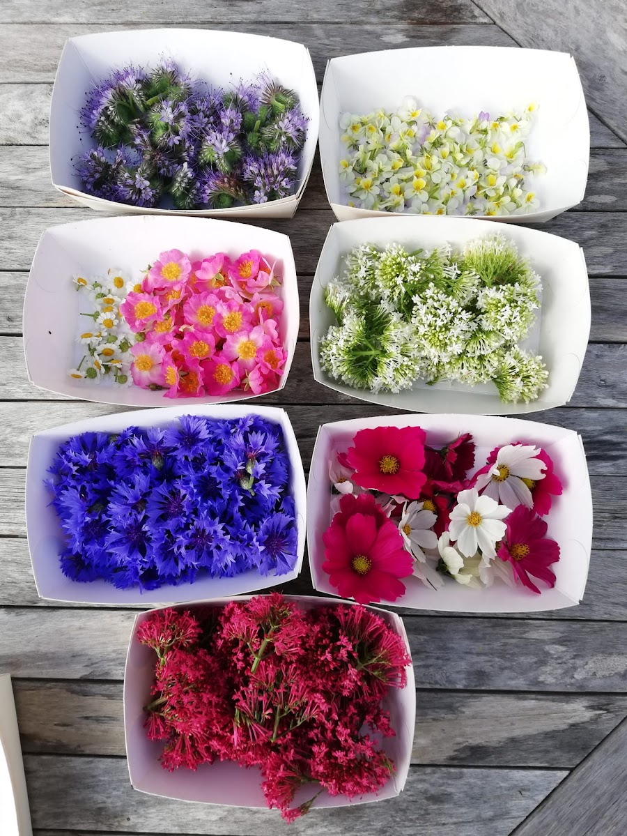 Fleurs