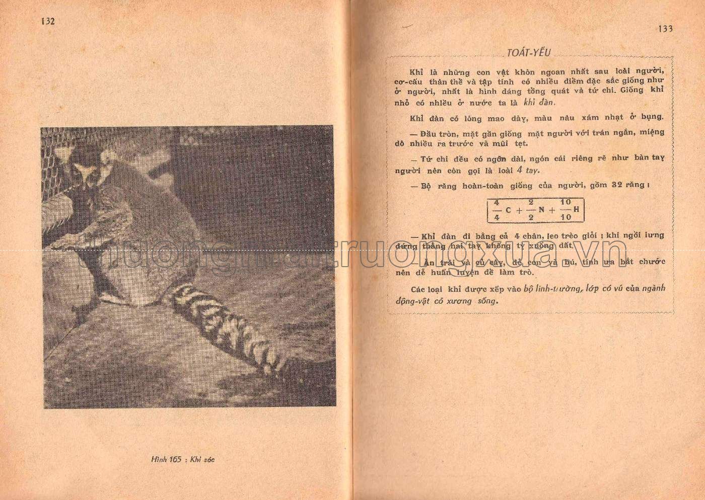 Vạn vật học lớp 6 (1974) (1) - Trang 65