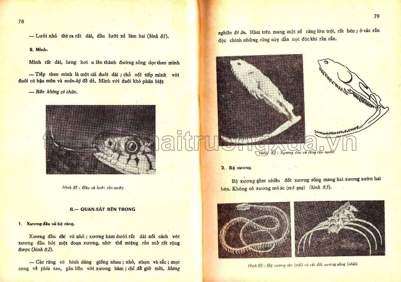 Vạn vật học lớp 6 (1974) (1) - Trang 39