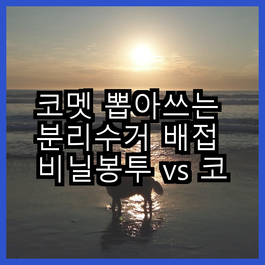코멧 뽑아쓰는 분리수거 배접 비닐봉투 vs 코멧 검정 손잡이 비닐봉투, 어떤 선택이 더 편리할까? 썸네일