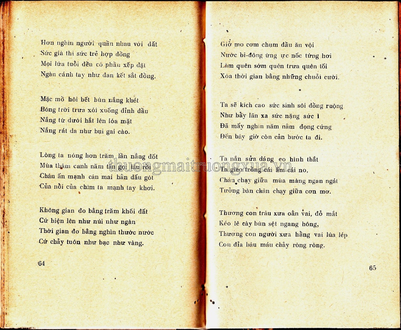 Trận địa quê hương (1972) - Trang 31