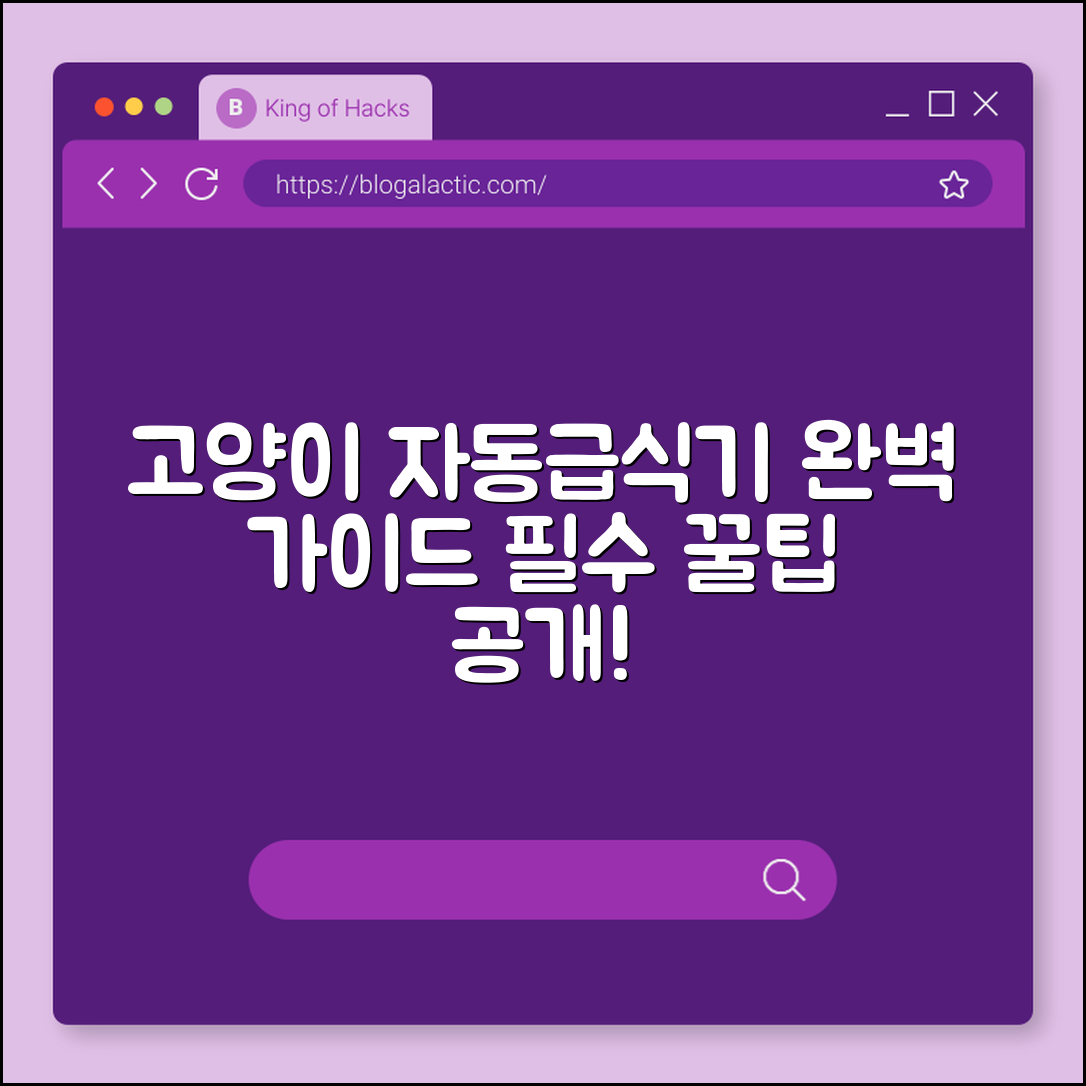 고양이 자동급식기 완벽 가이드: 꼭 알아야 할 팁