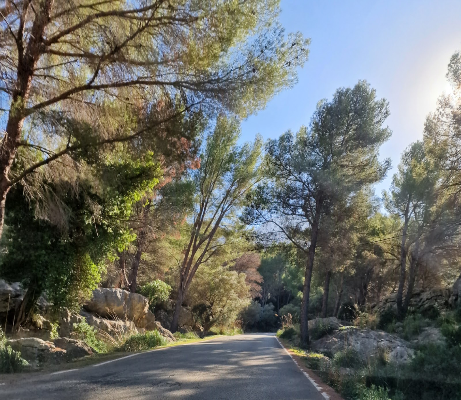 Photo de l’escale Palma