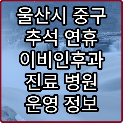 울산시 중구 추석 연휴 이비인후과 진료 병원 운영 정보