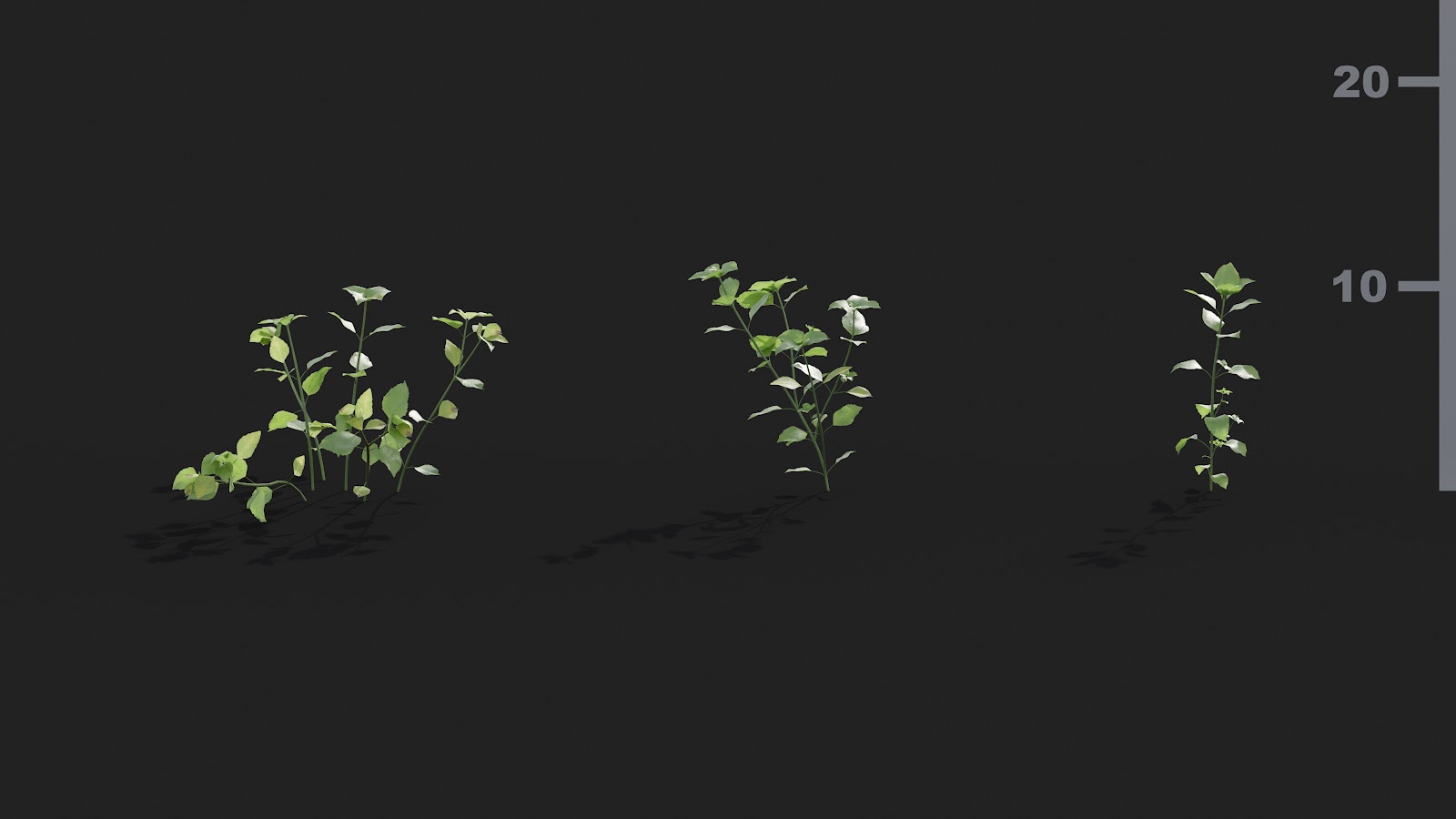 Maxtree - Plant Models Vol.21