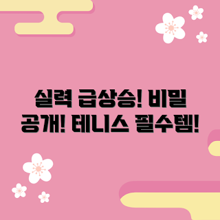 테니스뎀프너, 테니스 실력 향상, 왜 테니스뎀프너인가, 어떻게 효과를 볼까, 테니스 훈련 비법