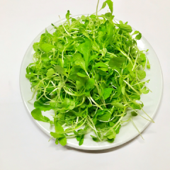 Cho ra tô để nguội bớt. Để rau ra dĩa cho đậu hủ xốt cà chua lên trên.