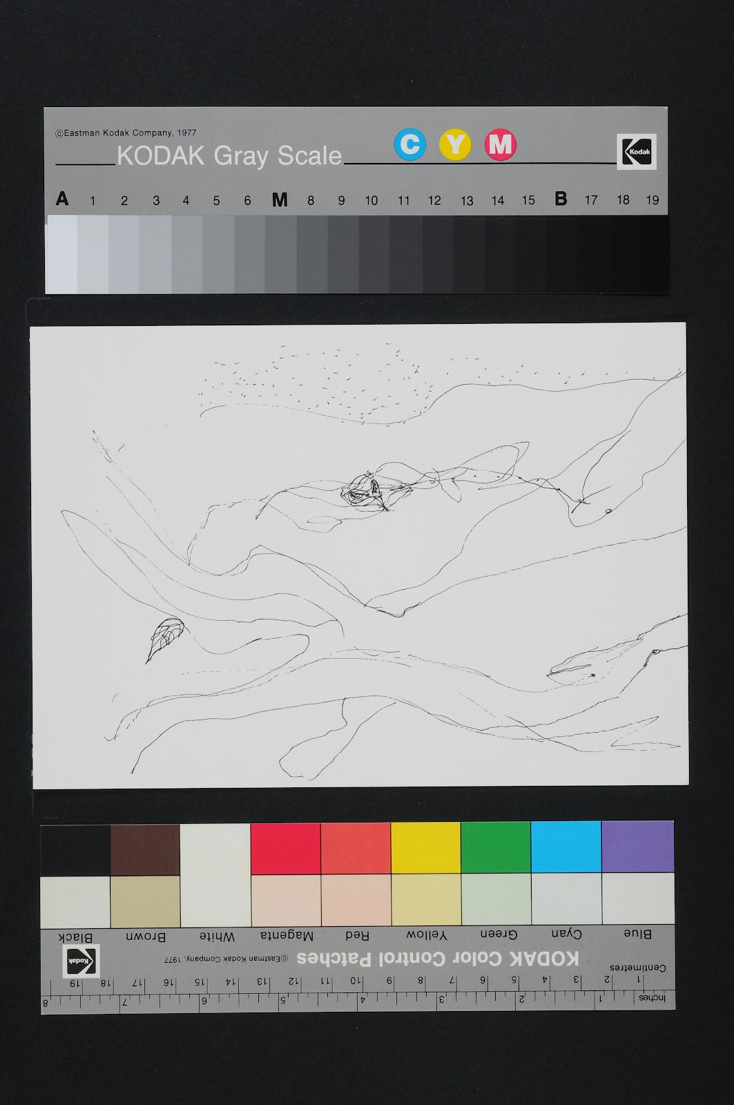 Drawn Poems