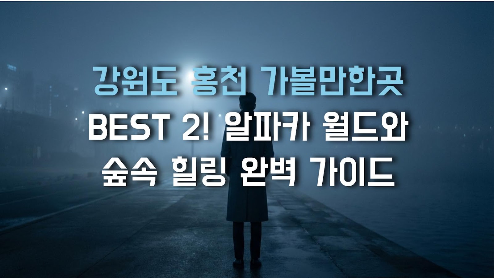 강원도 홍천 가볼만한곳 BEST 2! 알파카 월드와 숲속 힐링 완벽 가이드