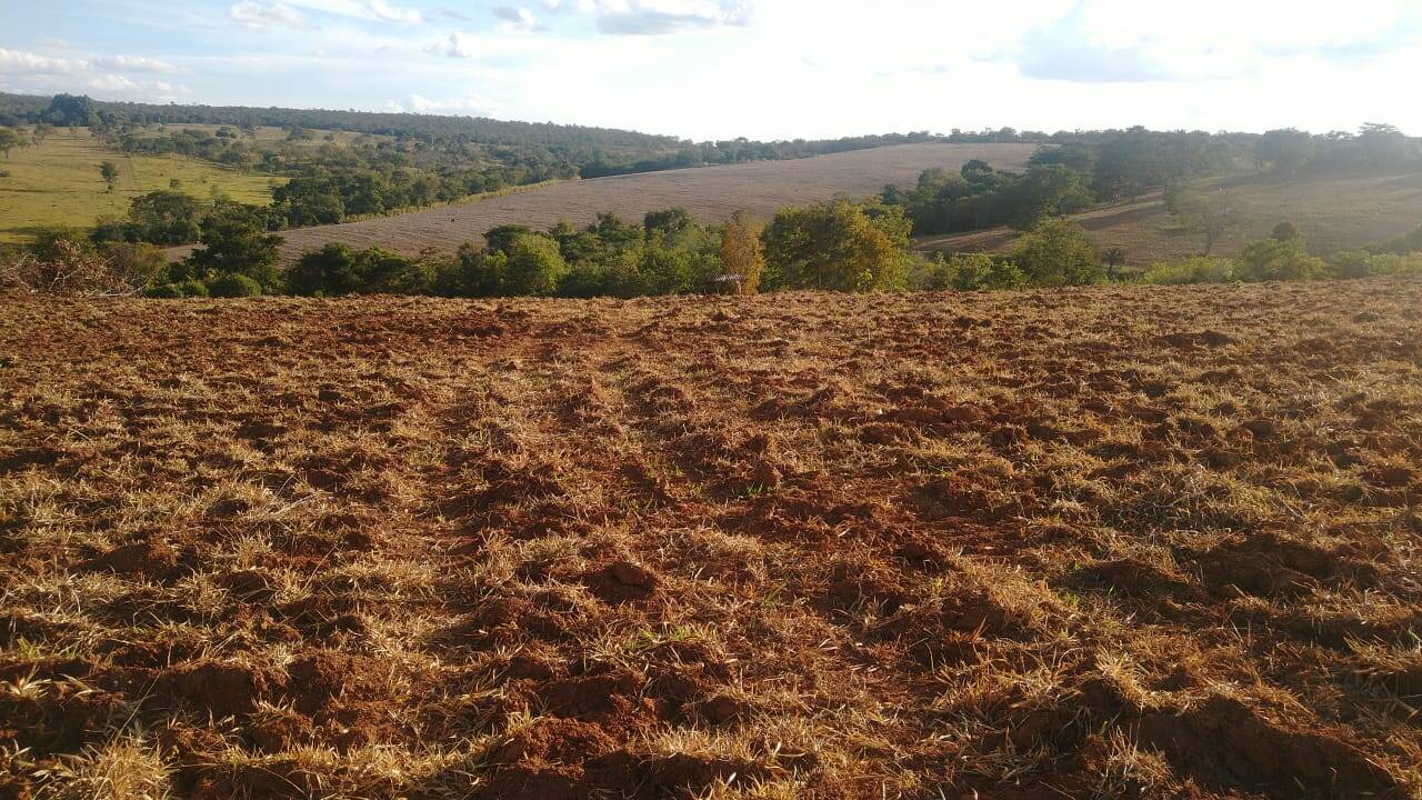 Fazenda em Pires do Rio - GO 3