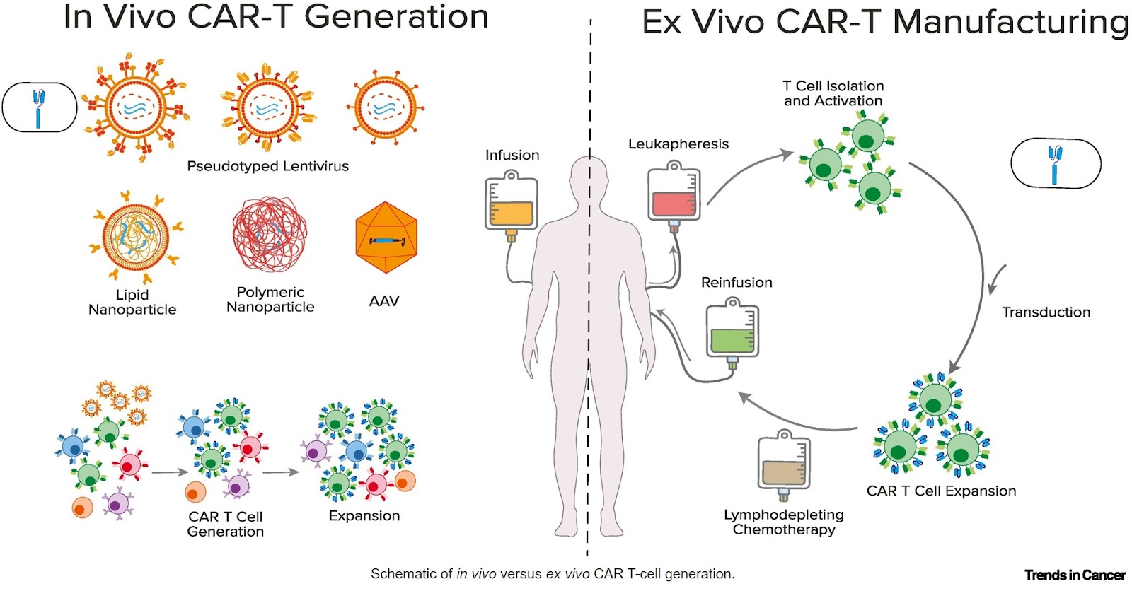 Principles of In vivo CAR T cell engineering