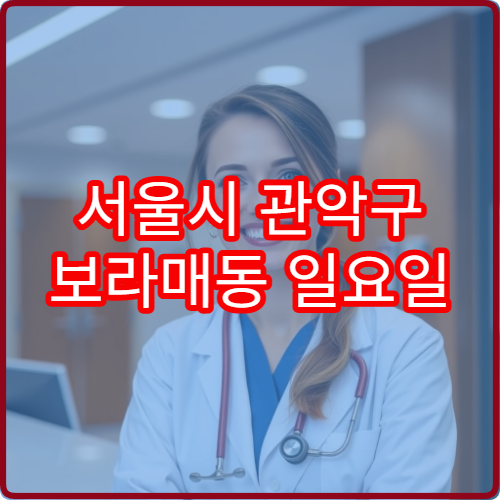 서울시 관악구 보라매동 일요일 내과 진료 병원