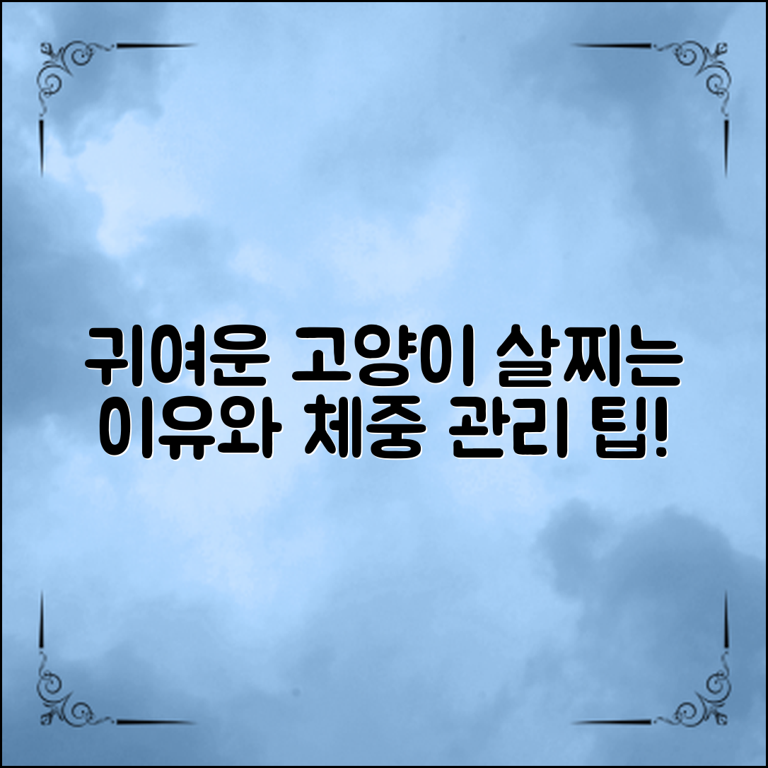 ** 귀여운 고양이가 살찌는 이유와 올바른 체중 관리를 위한 효과적인 팁을 알아보세요.