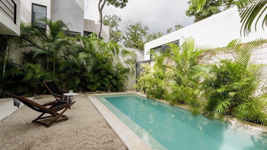 Green water, green walls