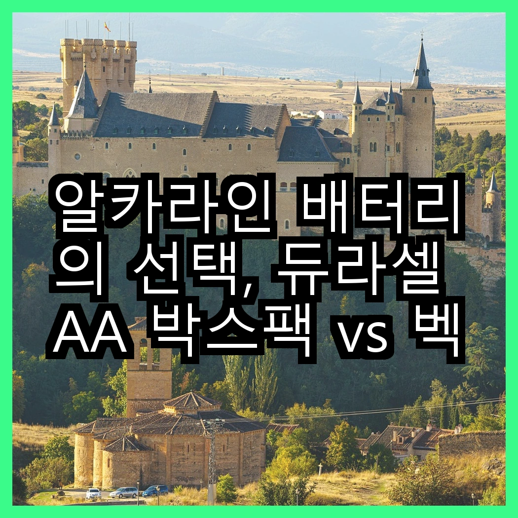 알카라인 배터리의 선택, 듀라셀 AA 박스팩 vs 벡셀 AAA의 성능 차이는? 썸네일