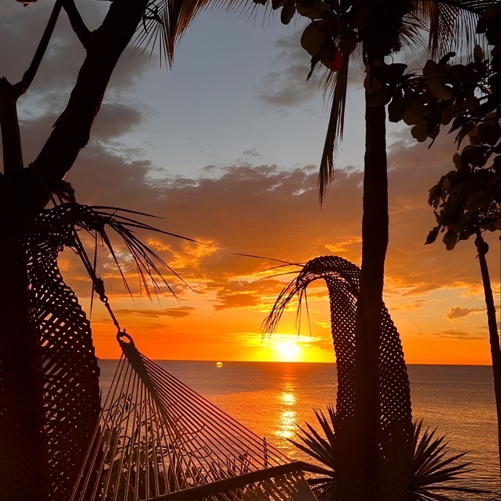 Download Hammock Overlooking Tropical Sunset Full HD iPhone