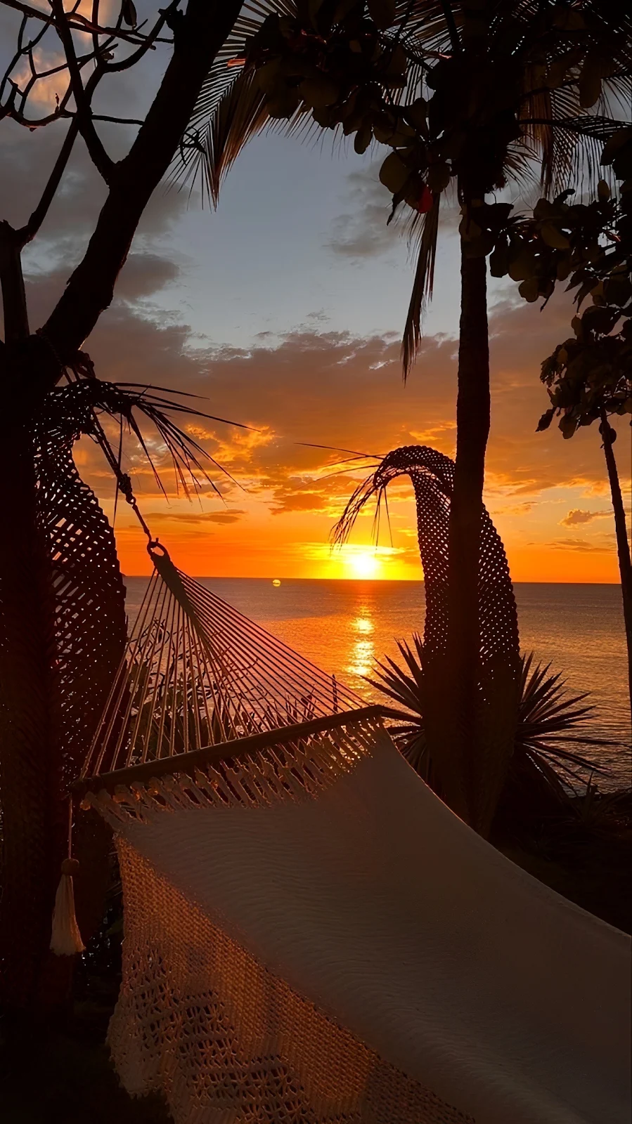 Hammock Overlooking Tropical Sunset - Tropical Landscape Photography Full HD iPhone Wallpaper (1286x2288)