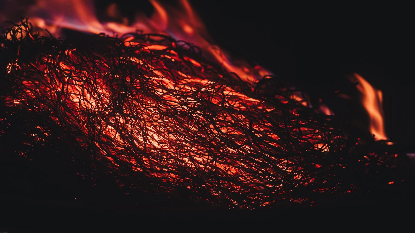 Glowing Steel Wool Fire - Macro Photography 5K Wallpaper (5376x3024)