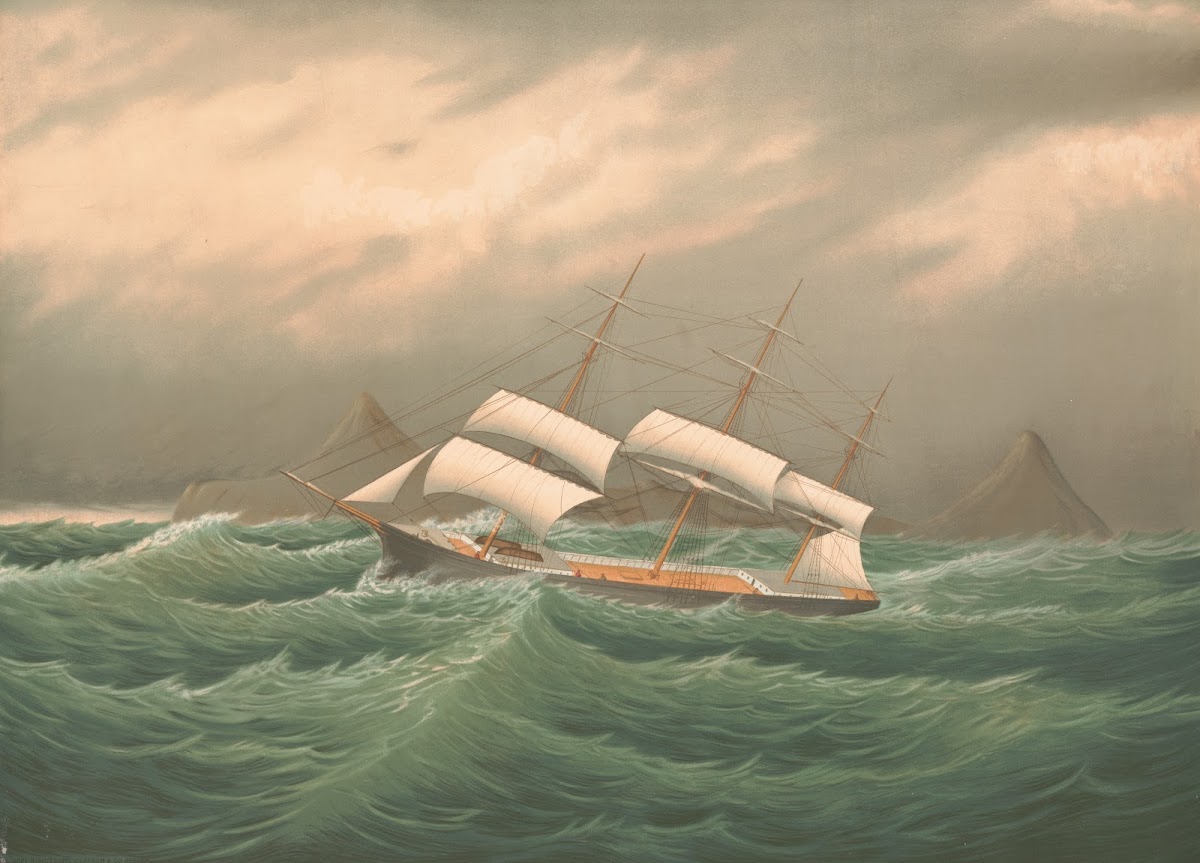 Off Cape Horn 1877
