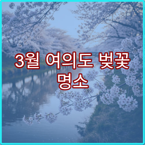 3월 여의도 벚꽃 명소 순위 1위 축제장 실시간 교통 정보